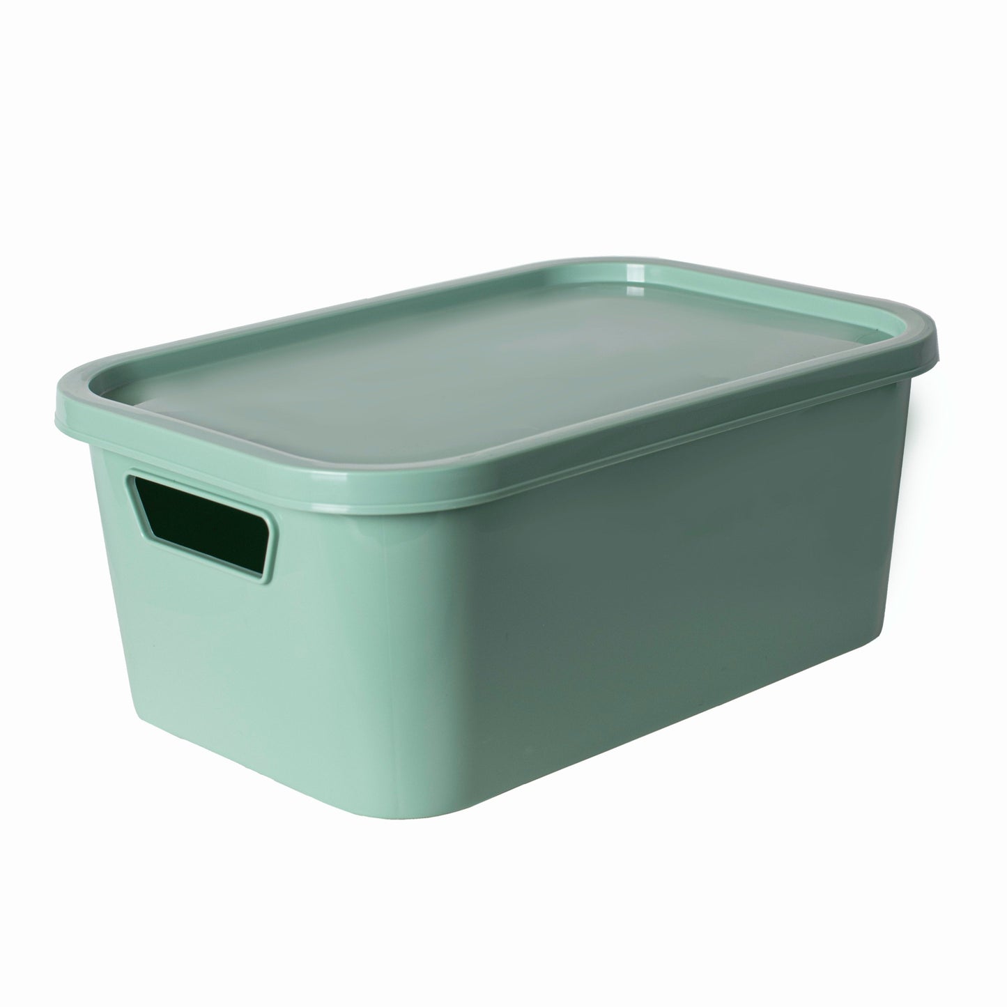 Canasto-organizador-bosco-plastico-con-tapa-bari-verde