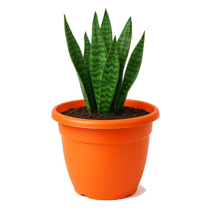 Maceta-grande-eden-45cm-teja-2