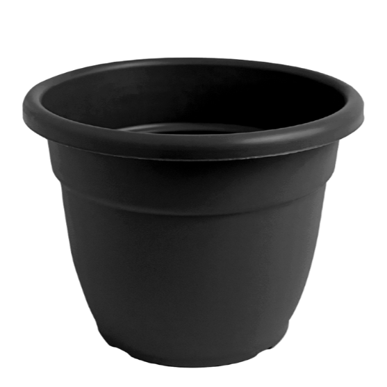 Macta grande Eden 55cm Negra