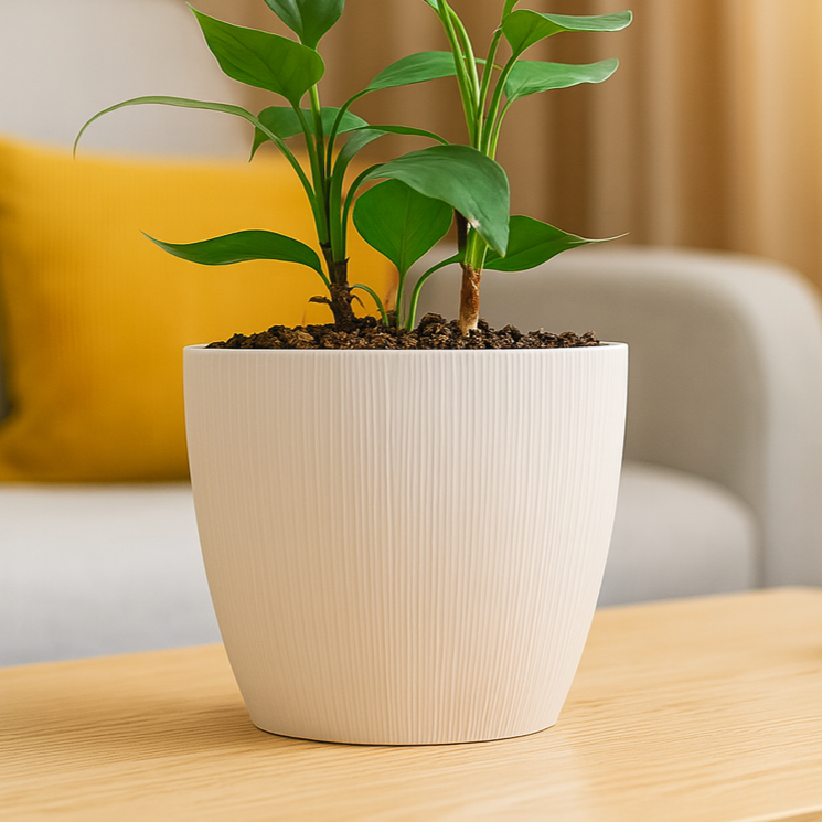 Maceta de interior Vercelli 27 Bosco | Diseño minimalista