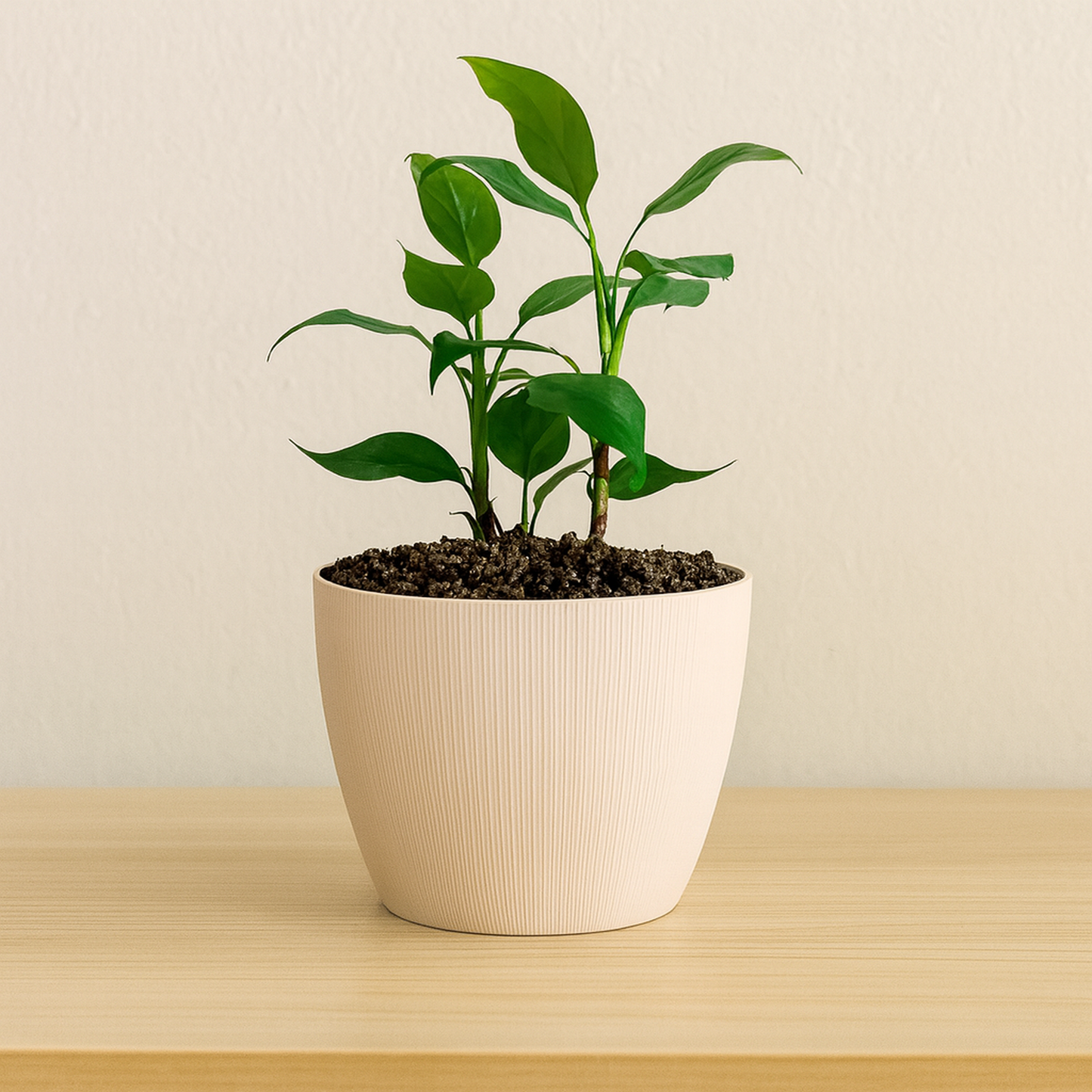 Maceta de interior Vercelli 18 Bosco | Diseño minimalista