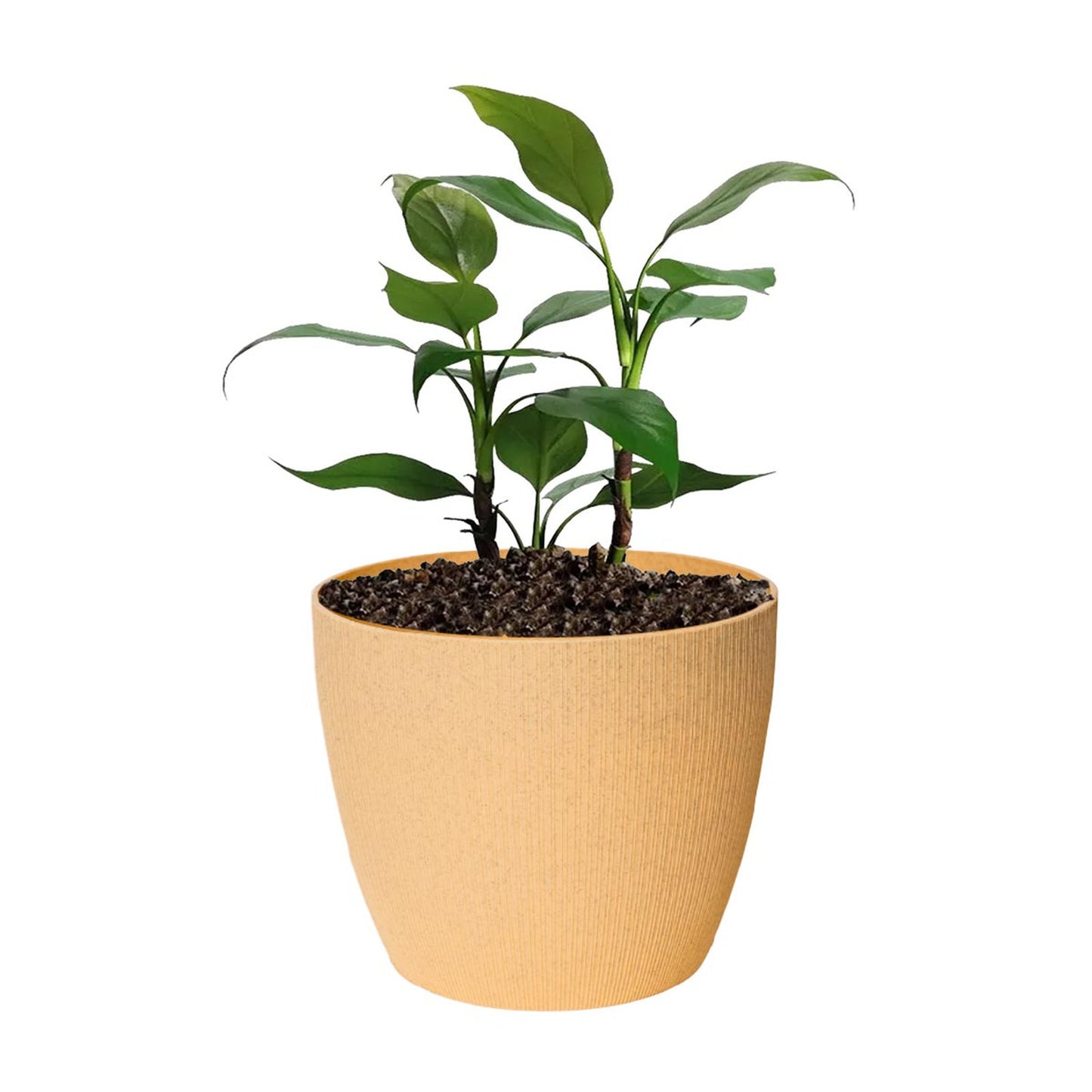 Maceta de interior Vercelli 18 Bosco | Diseño minimalista