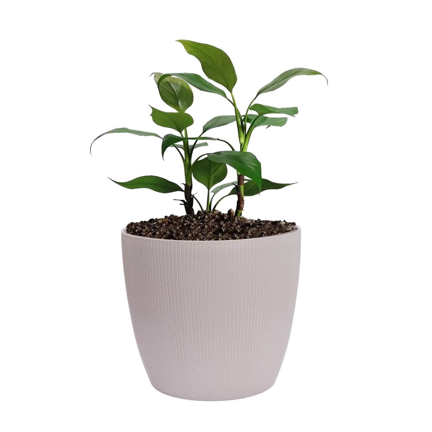 Maceta de interior Vercelli 18 Bosco | Diseño minimalista