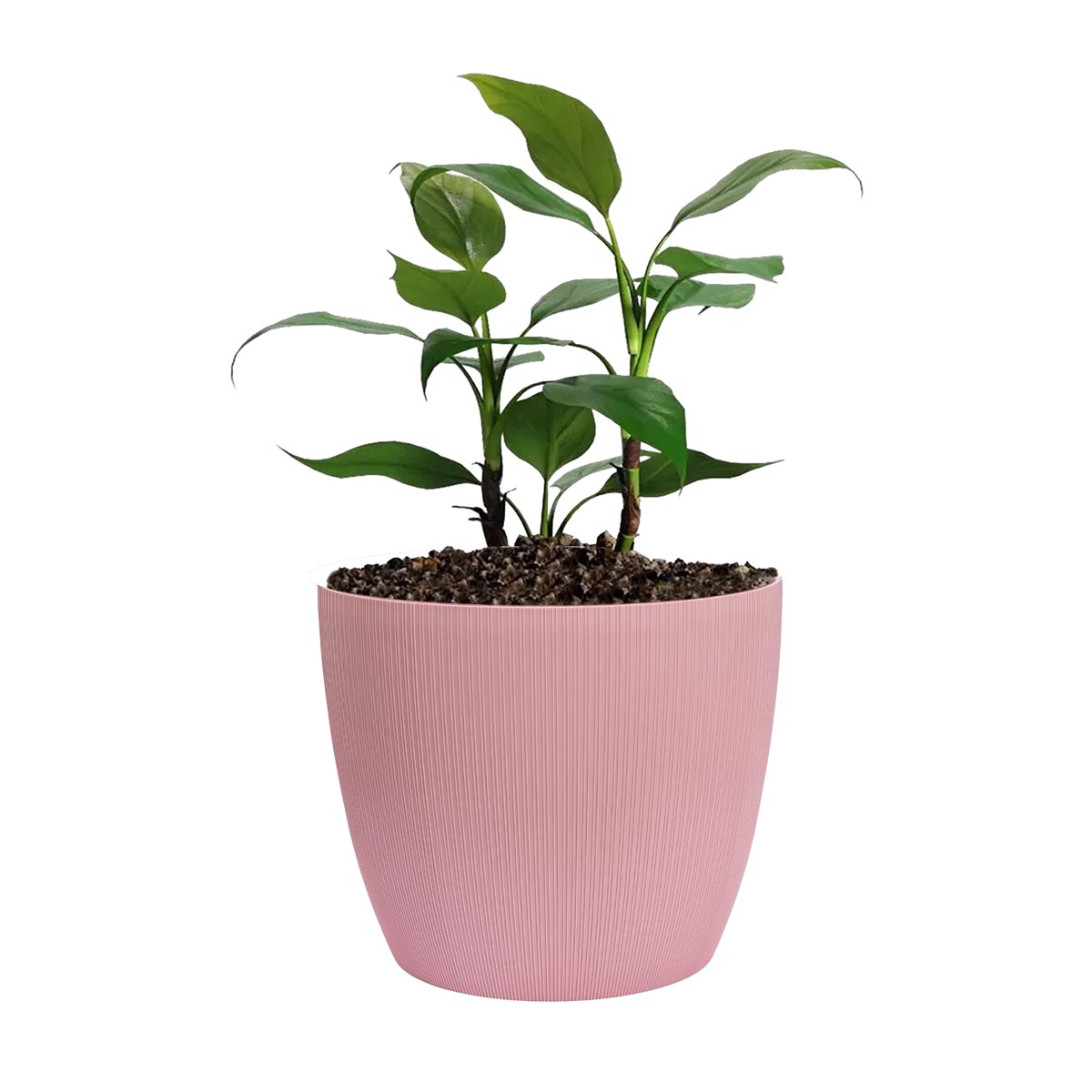 Maceta de interior Vercelli 27 Bosco | Diseño minimalista