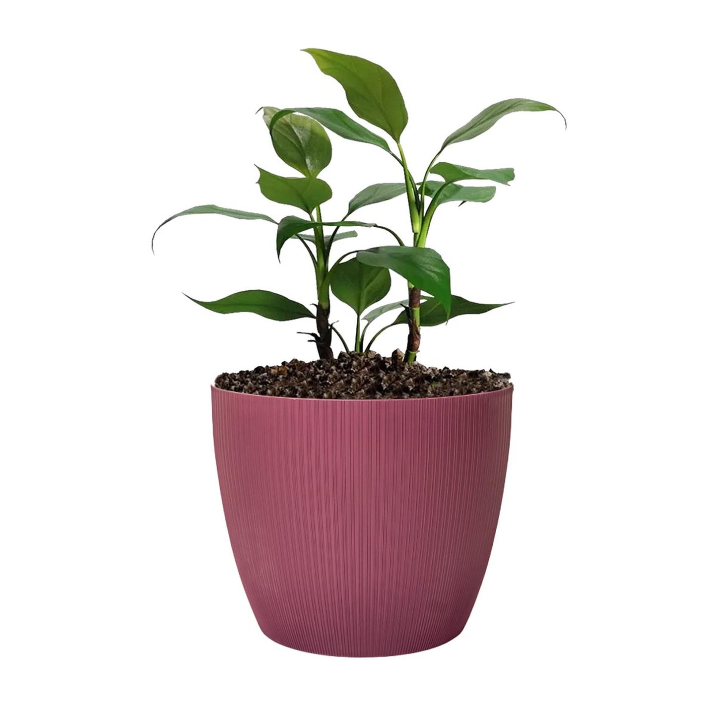 Maceta de interior Vercelli 18 Bosco | Diseño minimalista