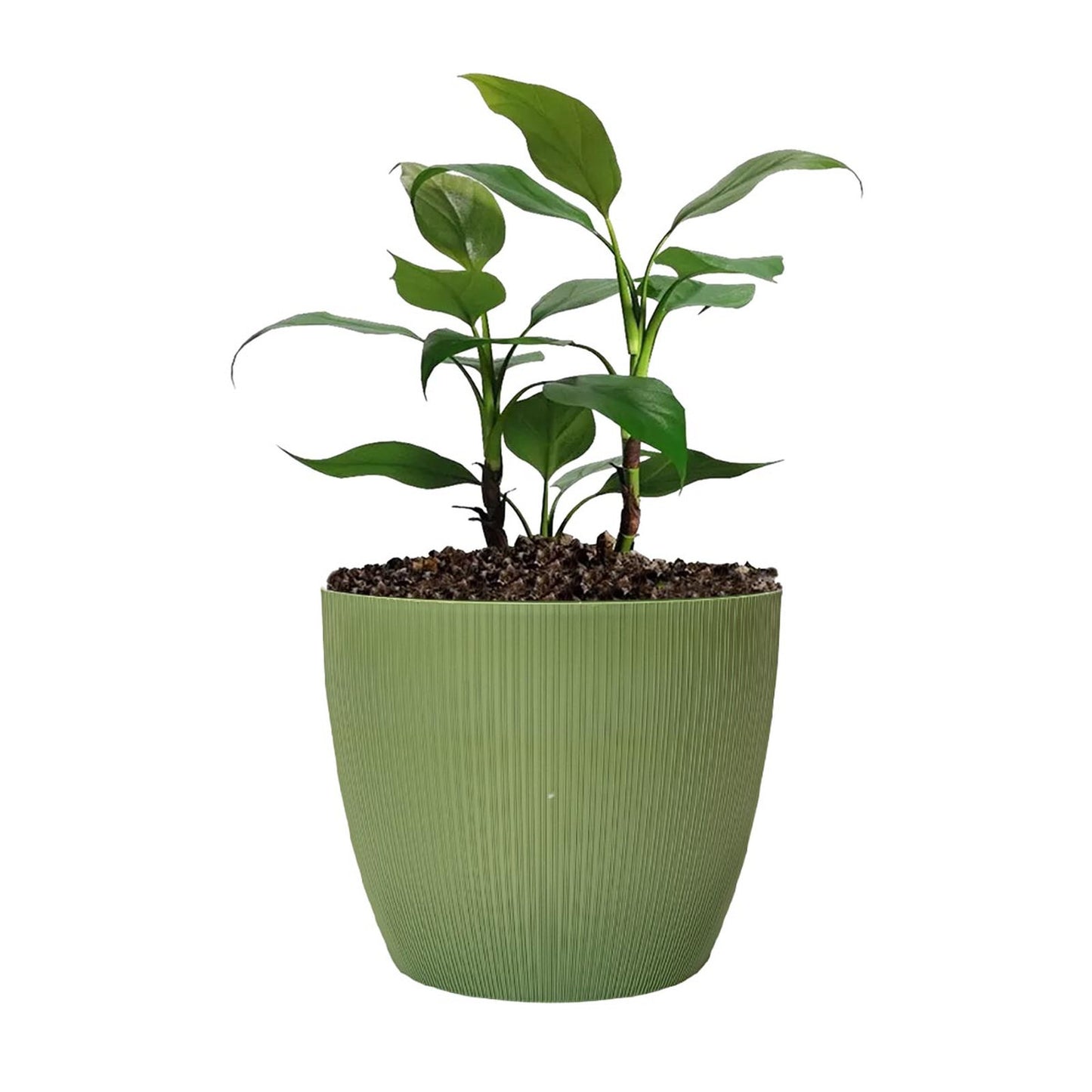 Maceta de interior Vercelli 18 Bosco | Diseño minimalista
