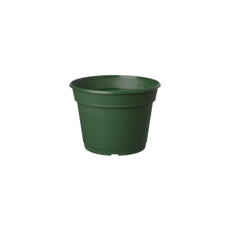 maceta-holanda-plastico-verde