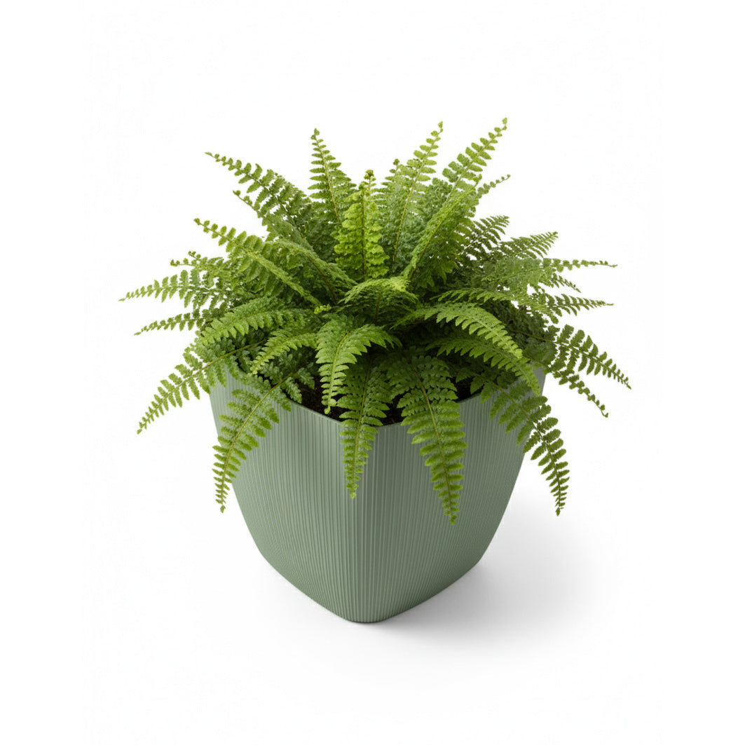 Maceta de interior Vercelli Cuadrada 22 Bosco | Diseño minimalista