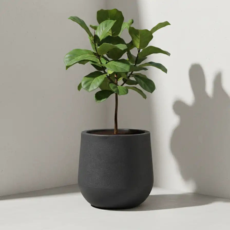 Maceta Bosco Gota rotomoldeada efecto piedra