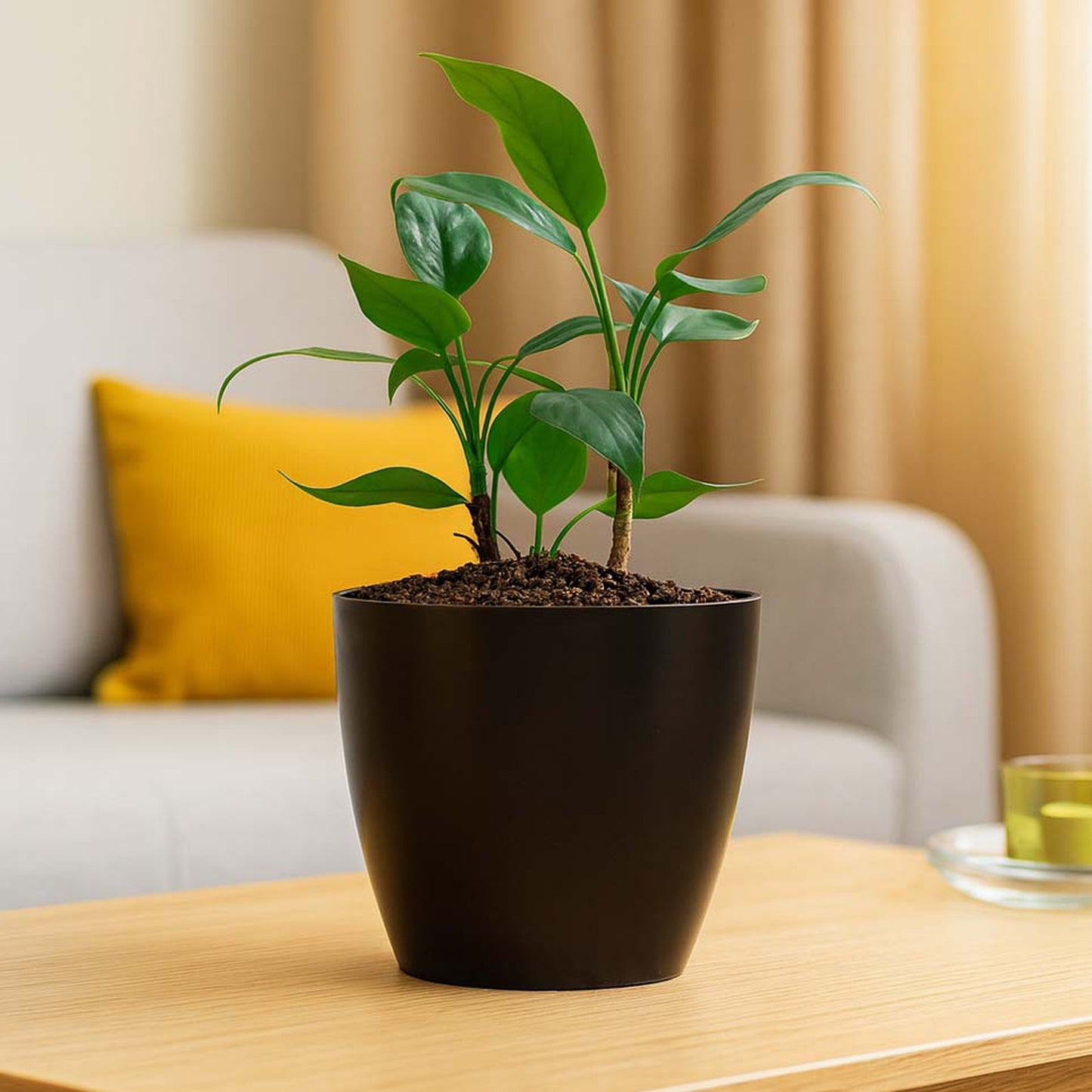 Maceta de interior Umbra 18 Bosco | Diseño minimalista