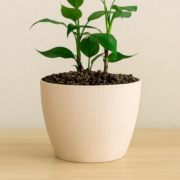 Maceta Vercelli Nº27 Bosco Gemplast blanca decorativa