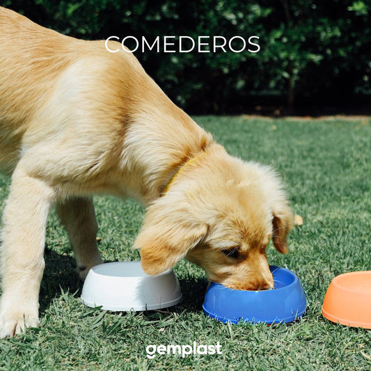 Plato para mascotas