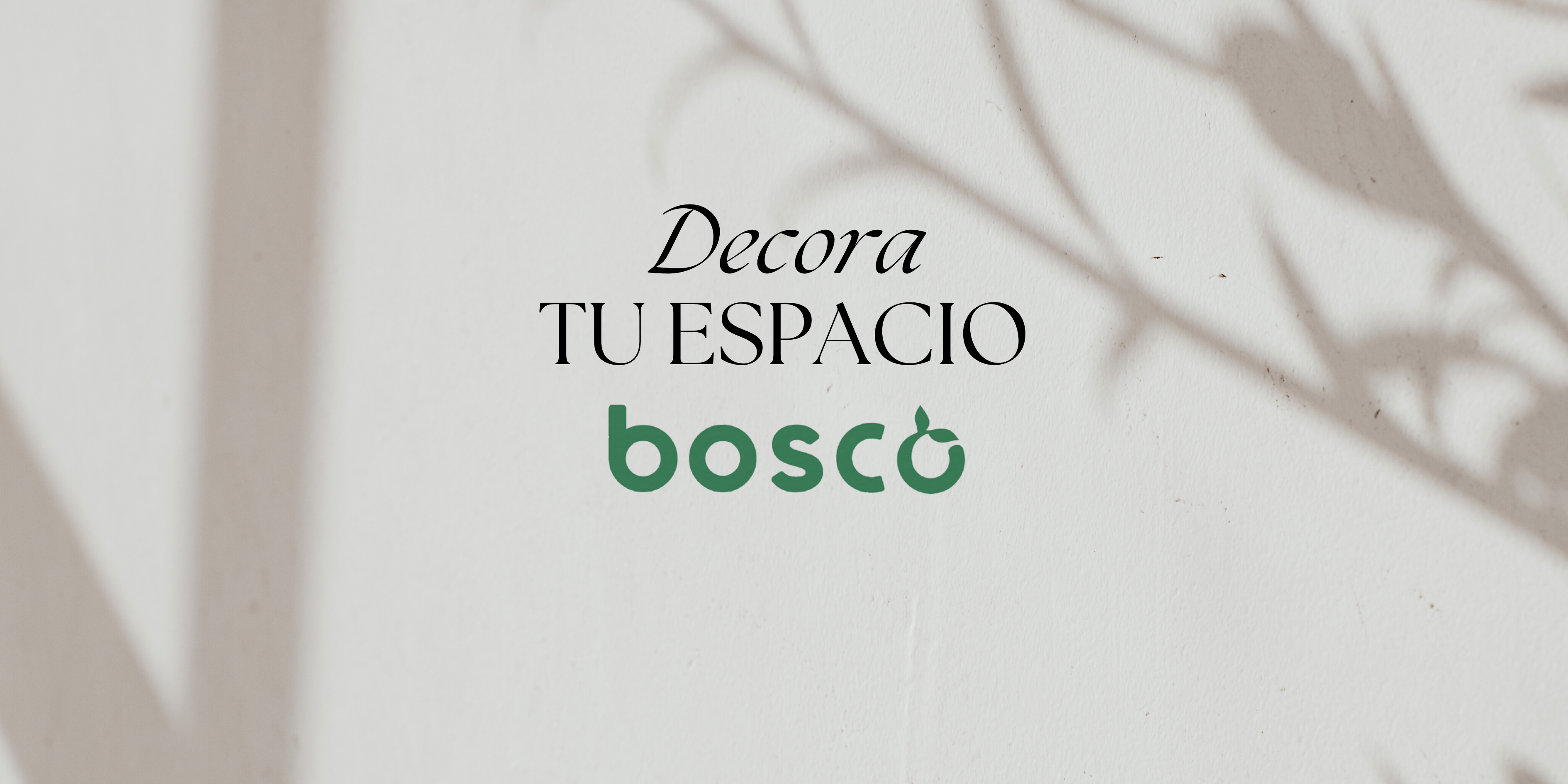 Decora tu espacio – Bosco