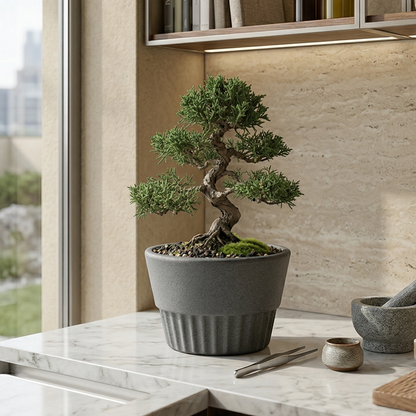 Maceta Venecia 15 cm Pack x3 | Interior Exterior | Bosco