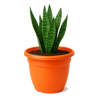 Maceta-grande-eden-45cm-teja-2