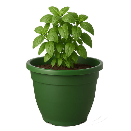 Maceta-grande-eden-45cm-verde-1