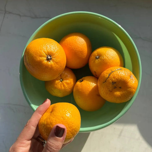 Bowl grande