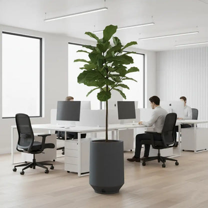 Maceta Bosco Vignola 53 L simil piedra – Interior y exterior, alta y decorativa