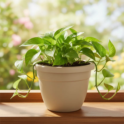 Maceta Edén 30 | Interior y exterior mediana