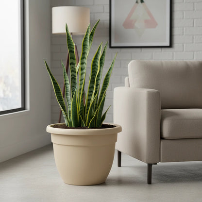 Maceta Grande Eden 45 cm – Resistente para Exterior