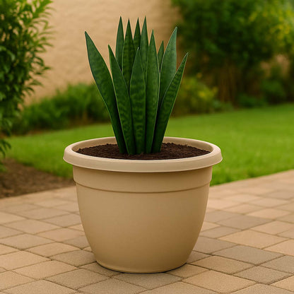 Maceta Edén 55 | Interior y exterior grande