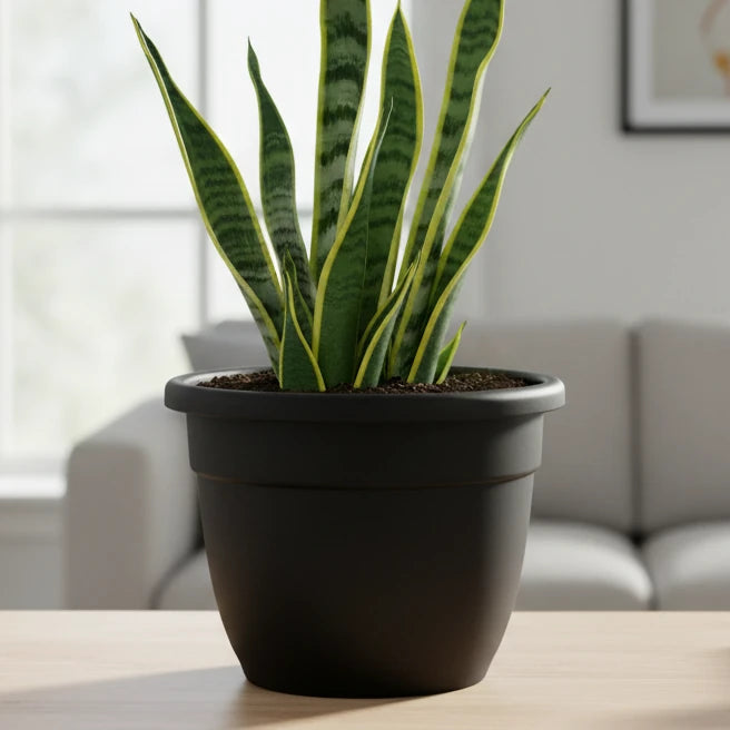 Maceta Edén 30 | Interior y exterior mediana