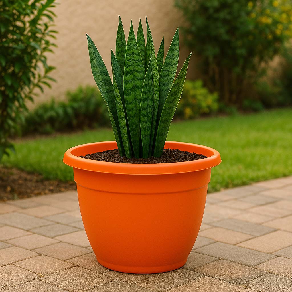 Maceta Edén 55 | Interior y exterior grande