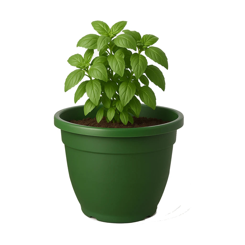 Maceta Grande Eden 45 cm – Resistente para Exterior