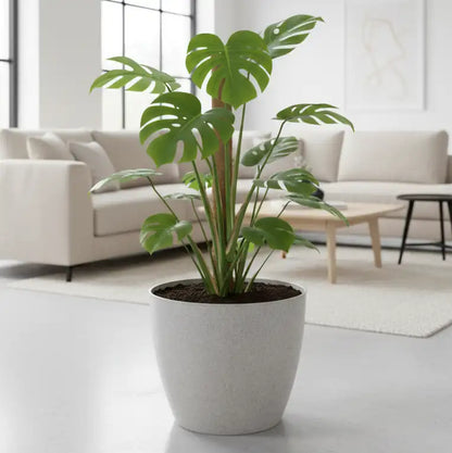 Maceta Bosco - Umbra 18 L