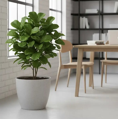 Maceta Bosco - Umbra 18 L