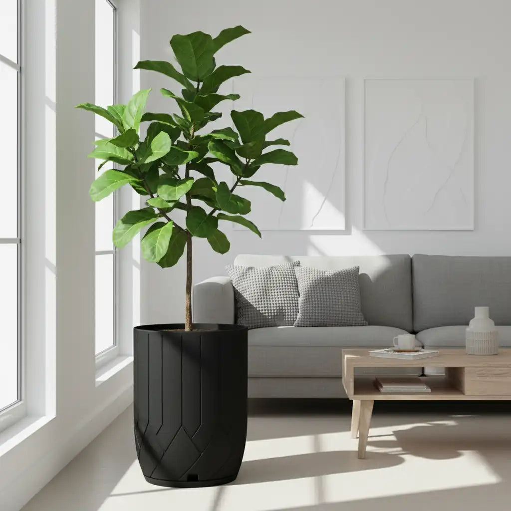 Maceta Bosco Termini 55 L Grande con Plato