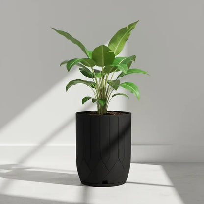 Maceta Bosco Termini 55 L Grande con Plato