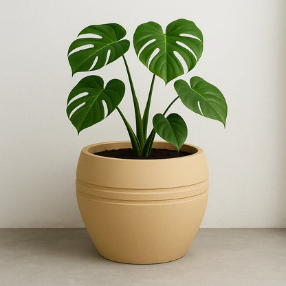 Maceta Bosco Pisa 116 L Grande