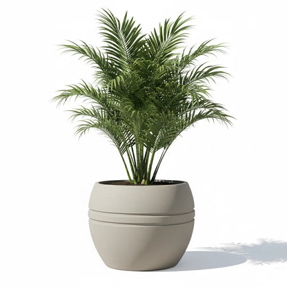 Maceta Bosco Pisa 116 L Grande