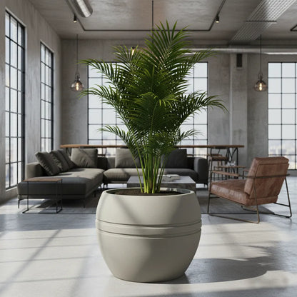 Maceta Bosco Pisa 116 L Grande