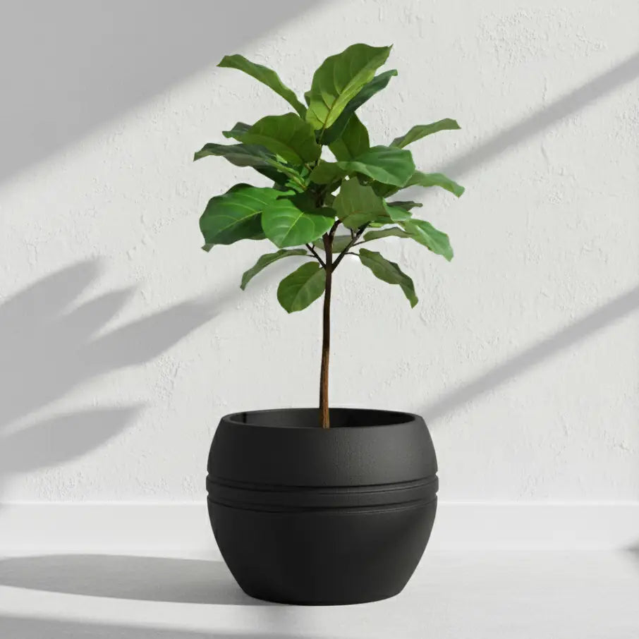 Maceta Bosco Pisa 116 L Grande