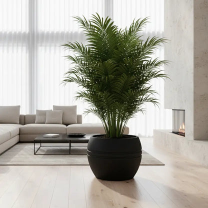 Maceta Bosco Pisa 116 L Grande