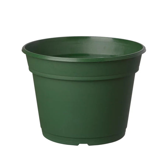 maceta-holanda-plastico-verde-11