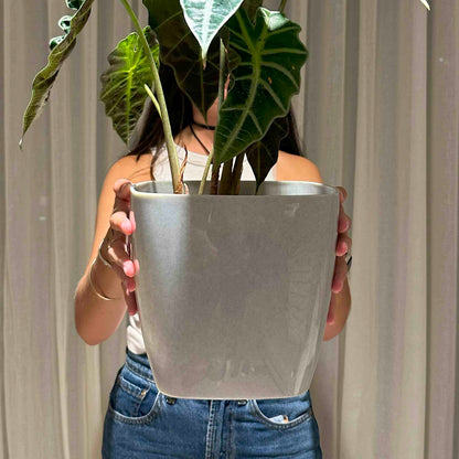 Maceta de interior Umbra Cuadrada 24 Bosco | Diseño minimalista