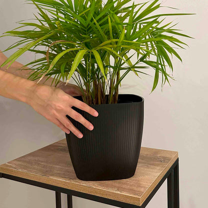 Maceta de interior Vercelli Cuadrada 22 Bosco | Diseño minimalista