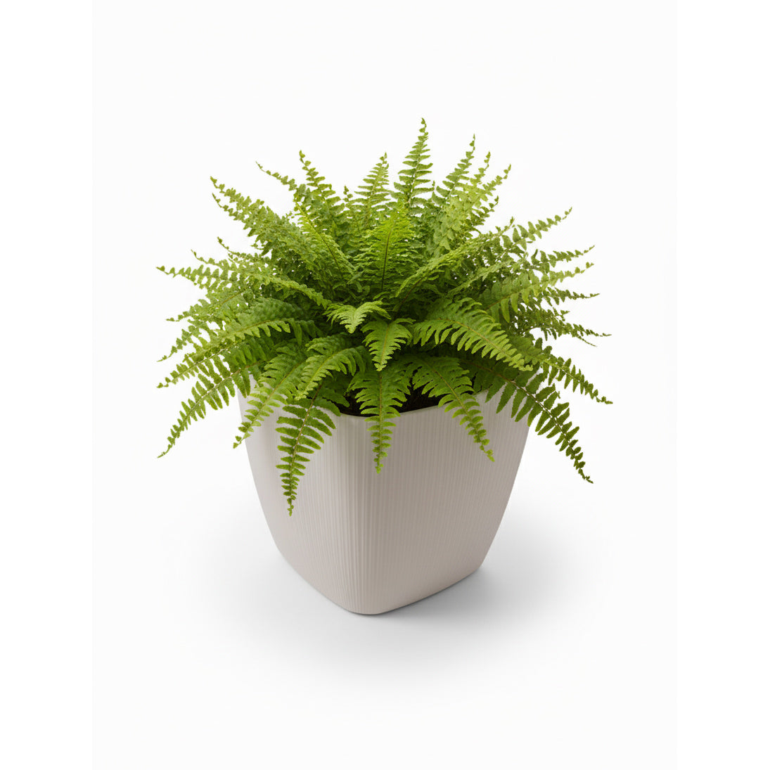 Maceta de interior Vercelli Cuadrada 24 Bosco | Diseño minimalista