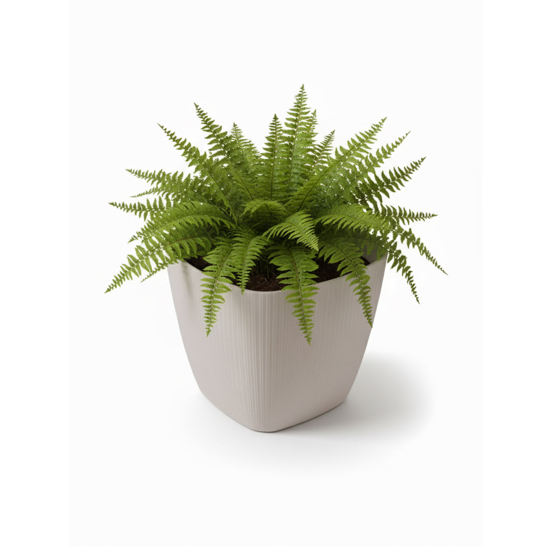 Maceta de interior Vercelli Cuadrada 24 Bosco | Diseño minimalista