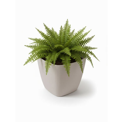 Maceta de interior Vercelli Cuadrada 24 Bosco | Diseño minimalista