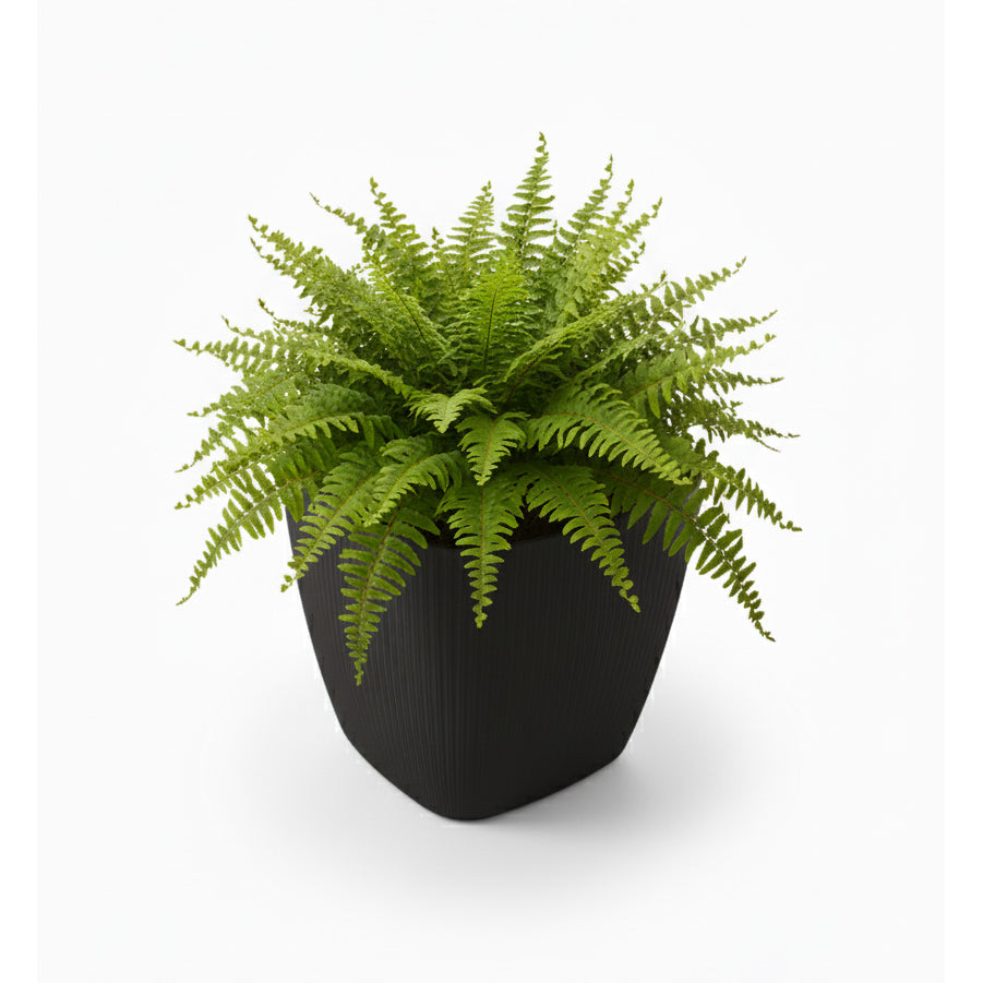 Maceta de interior Vercelli Cuadrada 24 Bosco | Diseño minimalista