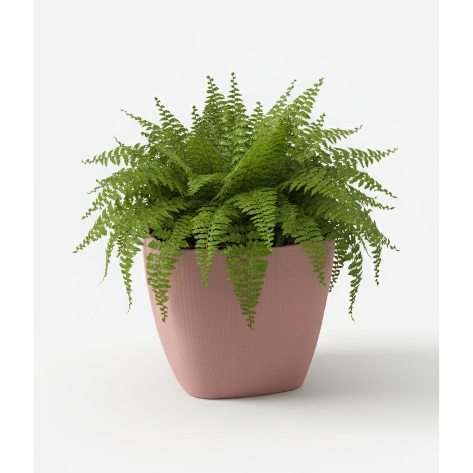 Maceta de interior Vercelli Cuadrada 24 Bosco | Diseño minimalista