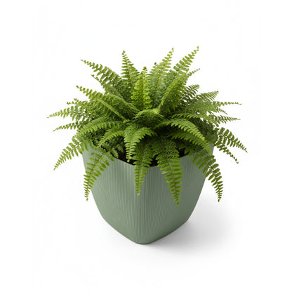 Maceta de interior Vercelli Cuadrada 24 Bosco | Diseño minimalista