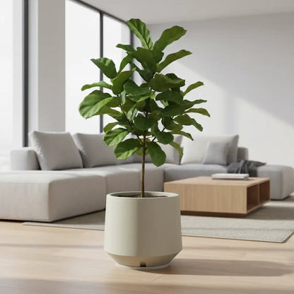 Maceta Bosco Vignola 56 L Grande con Plato