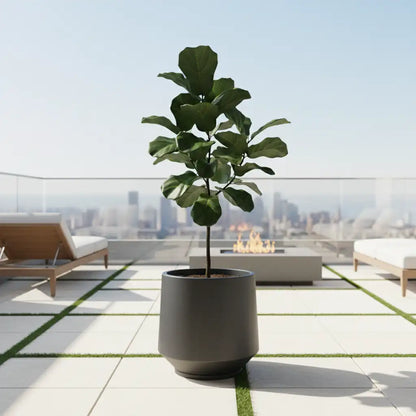 Maceta Bosco Vignola 56 L Grande con Plato