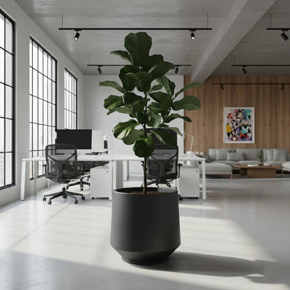 Maceta Bosco Vignola 56 L Grande con Plato