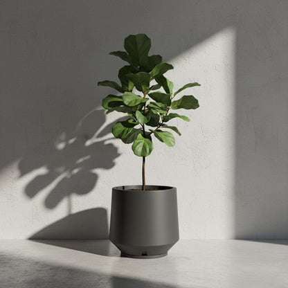 Maceta Bosco Vignola 56 L Grande con Plato